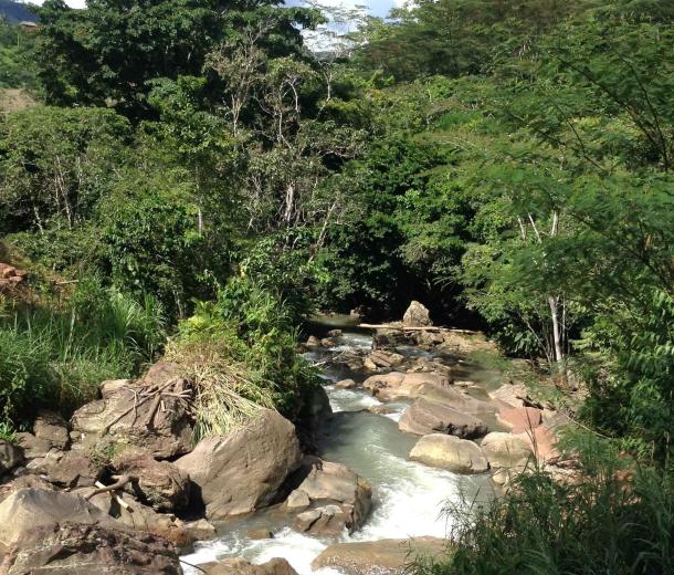 Creadores digitales impulsan idiomas amazónicos