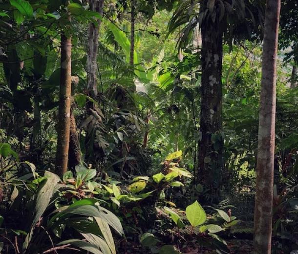 El quechua se mantiene como la lengua originaria más hablada