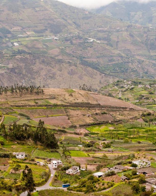 Perú reconoce 48 lenguas originarias en su territorio